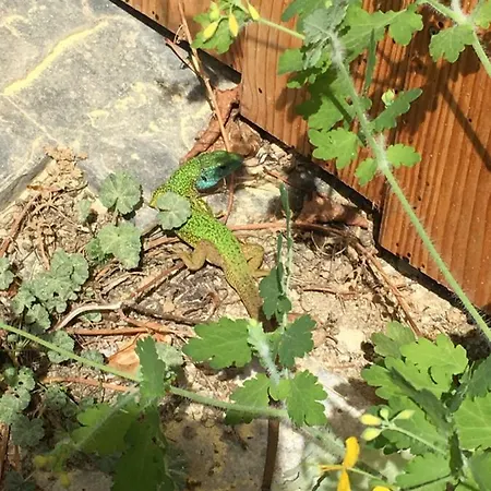 アパート Seiber 172