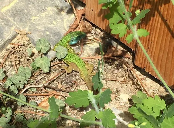 Appartement Seiber 172